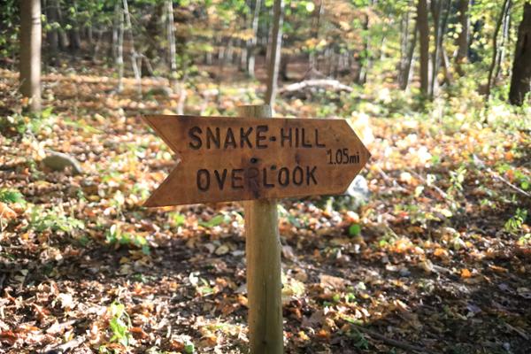 Community Hike to Snake Hill | Caminata a Snake Hill, Newburgh
