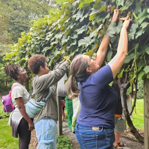 Living History: Free Family Art, Garden & History Programs at Ten Broeck