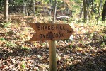 Community Hike to Snake Hill | Caminata a Snake Hill, Newburgh