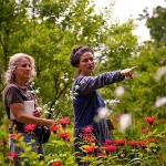 Wild Edible & Medicinal Plant Walk