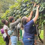 Living History: Free Family Art, Garden & History Programs at Ten Broeck