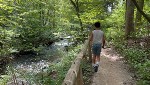 Community Hike at Black Creek Preserve | Caminata en Black Creek Preserve