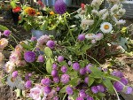 Floral Design Series: Easing into Fall with Wildflowers