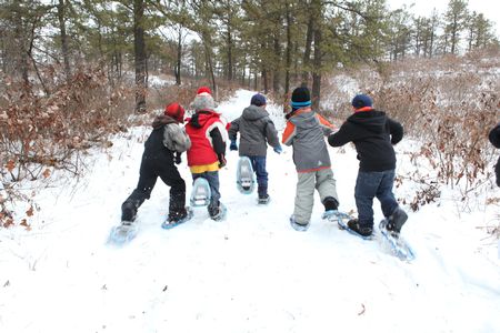 Albany Pine Bush Preserve 4