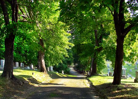 Saint Agnes Cemetery 10