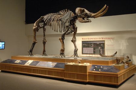 New York State Museum  2
