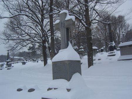Saint Agnes Cemetery 9
