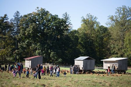 Stone Barns Center for Food and Agriculture  3