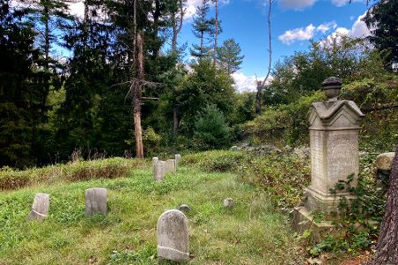 Westmoreland Sanctuary 4