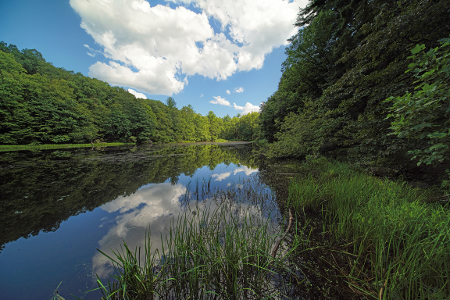 Westmoreland Sanctuary 5