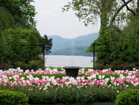 Boscobel House and Gardens  7